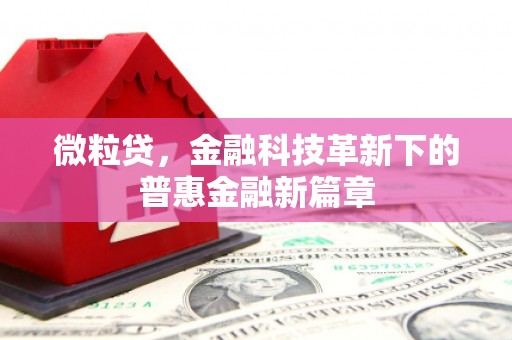 安定微粒贷，金融科技革新下的普惠金融新篇章