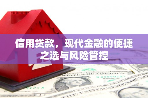 信州信用贷款，现代金融的便捷之选与风险管控
