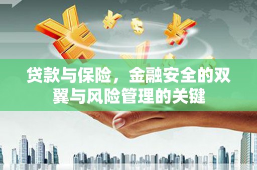 甘谷贷款与保险，金融安全的双翼与风险管理的关键