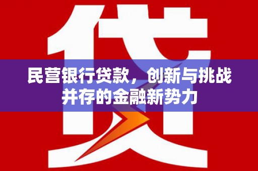 荷塘民营银行贷款，创新与挑战并存的金融新势力