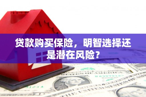 海盐贷款购买保险，明智选择还是潜在风险？
