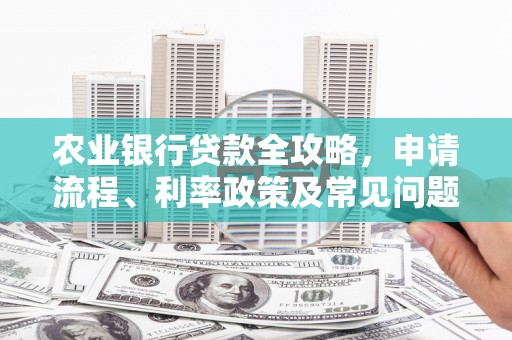 宁乡农业银行贷款全攻略，申请流程、利率政策及常见问题解析