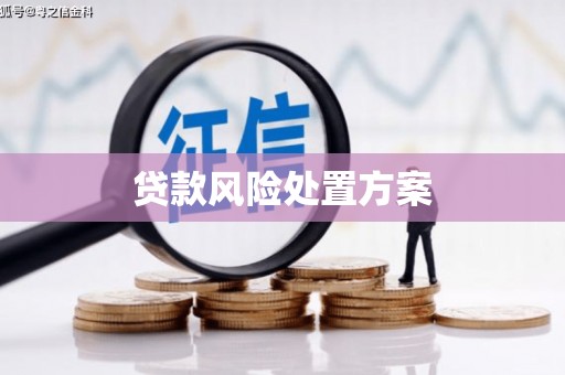 九龙城贷款风险处置方案
