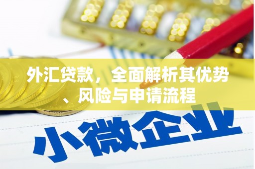 南岳外汇贷款，全面解析其优势、风险与申请流程