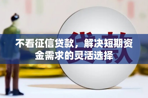 芙蓉不看征信贷款，解决短期资金需求的灵活选择