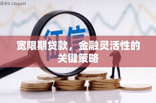 大社宽限期贷款，金融灵活性的关键策略
