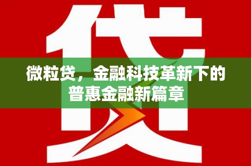 榆树微粒贷，金融科技革新下的普惠金融新篇章