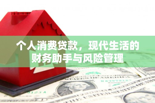 大涌个人消费贷款，现代生活的财务助手与风险管理