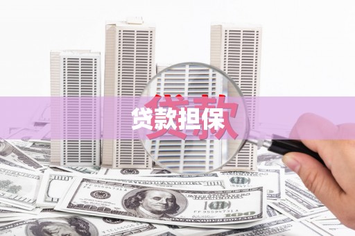 东明贷款担保