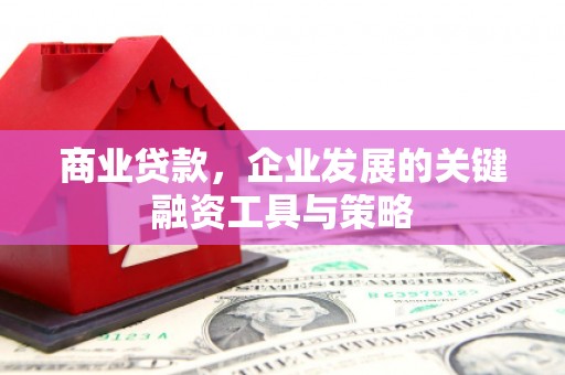 清流商业贷款，企业发展的关键融资工具与策略