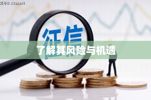 滑县了解其风险与机遇