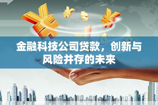 肃州金融科技公司贷款，创新与风险并存的未来