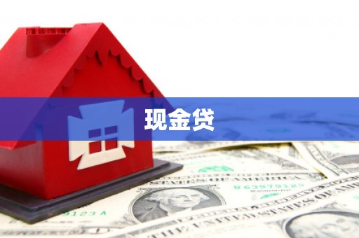 漯河现金贷