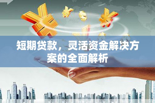 武鸣短期贷款，灵活资金解决方案的全面解析