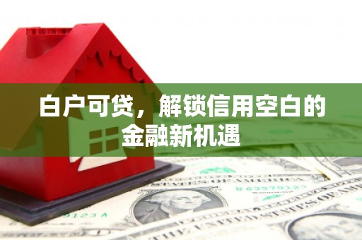 南岳白户可贷，解锁信用空白的金融新机遇