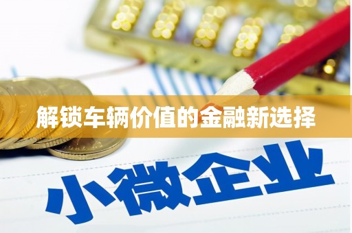 阳东解锁车辆价值的金融新选择