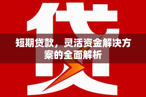 海安短期贷款，灵活资金解决方案的全面解析