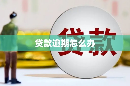 芦竹贷款逾期怎么办