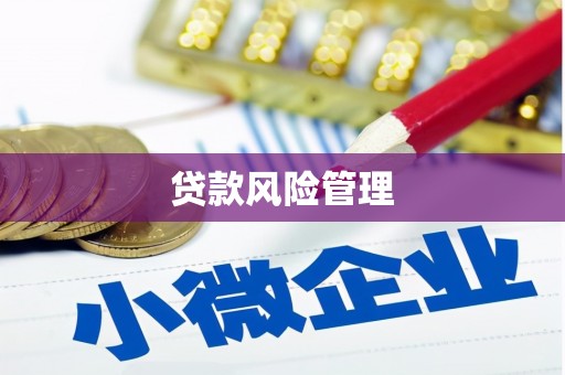 竹东贷款风险管理