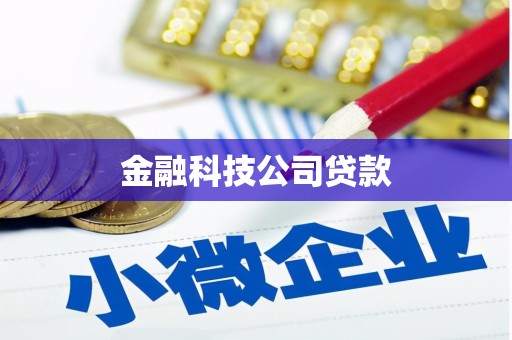 马山金融科技公司贷款