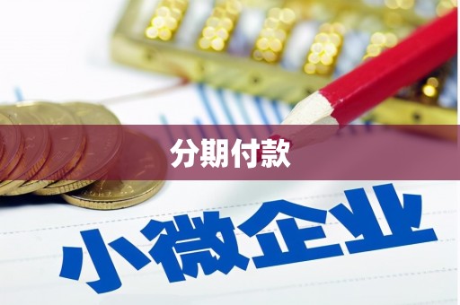 丰原分期付款