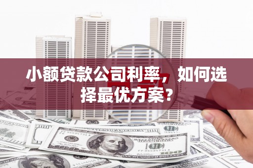 扎赉特旗小额贷款公司利率，如何选择最优方案？