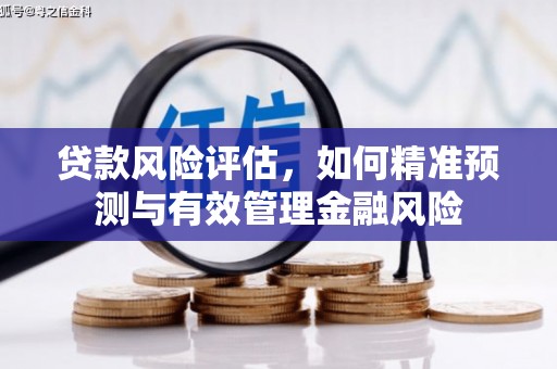 果洛贷款风险评估，如何精准预测与有效管理金融风险
