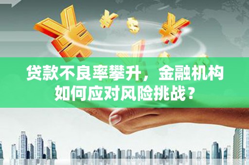 罗城贷款不良率攀升，金融机构如何应对风险挑战？