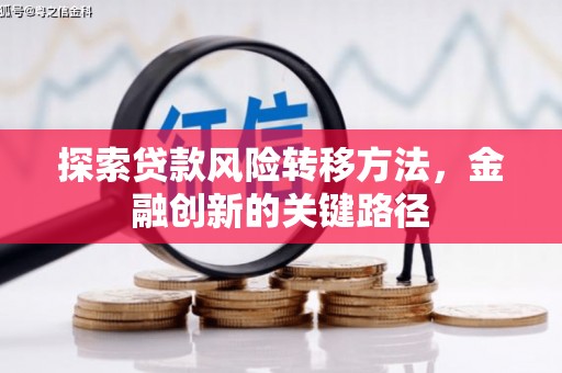 坪山新区探索贷款风险转移方法，金融创新的关键路径