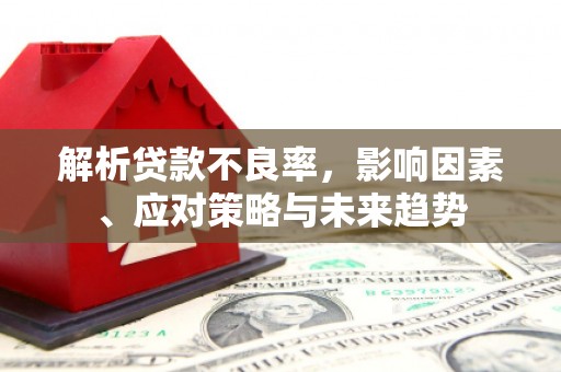 盖州解析贷款不良率，影响因素、应对策略与未来趋势