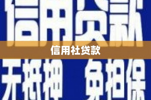 柳营信用社贷款