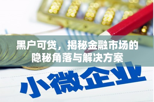舟山新区黑户可贷，揭秘金融市场的隐秘角落与解决方案