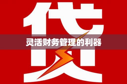 山阳灵活财务管理的利器