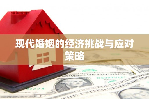 日土现代婚姻的经济挑战与应对策略