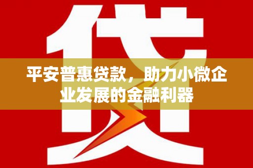 乐东平安普惠贷款，助力小微企业发展的金融利器