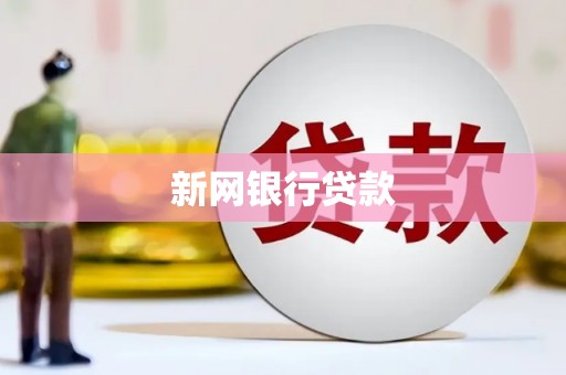舞阳新网银行贷款