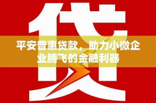 德格平安普惠贷款，助力小微企业腾飞的金融利器