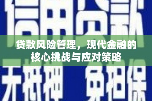 沈丘贷款风险管理，现代金融的核心挑战与应对策略