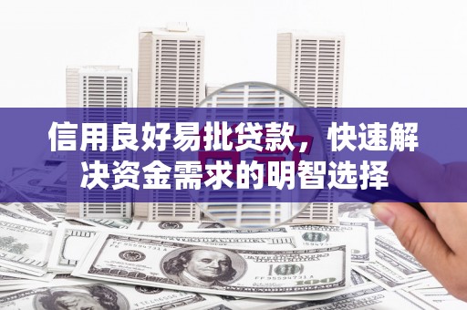 茂南信用良好易批贷款，快速解决资金需求的明智选择