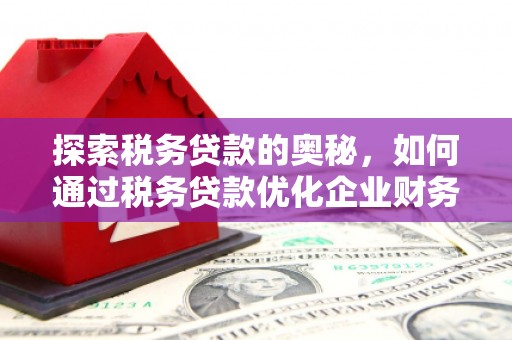 花莲探索税务贷款的奥秘，如何通过税务贷款优化企业财务