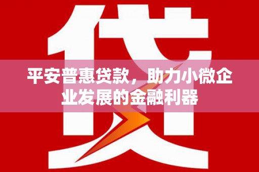 竹南平安普惠贷款，助力小微企业发展的金融利器