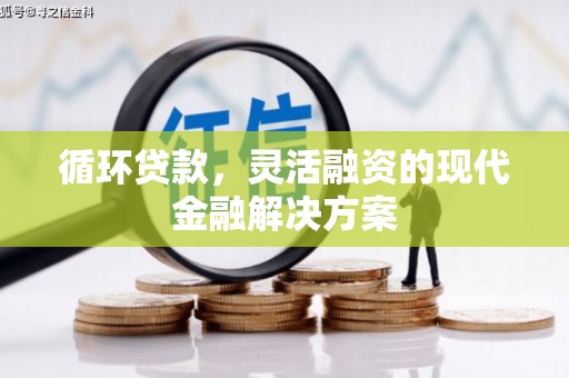 滨州循环贷款，灵活融资的现代金融解决方案