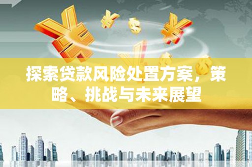 衡东探索贷款风险处置方案，策略、挑战与未来展望