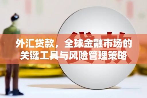 漳州外汇贷款，全球金融市场的关键工具与风险管理策略