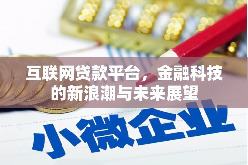 中区互联网贷款平台，金融科技的新浪潮与未来展望