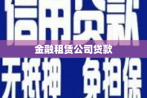 宛城金融租赁公司贷款