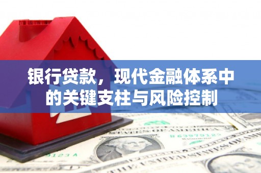海兴银行贷款，现代金融体系中的关键支柱与风险控制
