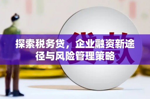 湘西探索税务贷，企业融资新途径与风险管理策略