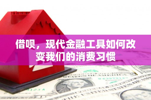临邑借呗，现代金融工具如何改变我们的消费习惯