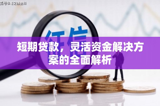 卑南短期贷款，灵活资金解决方案的全面解析